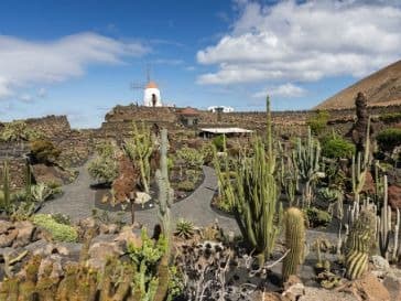 Jardín de Cactus: un jardín en una antigua rofera
